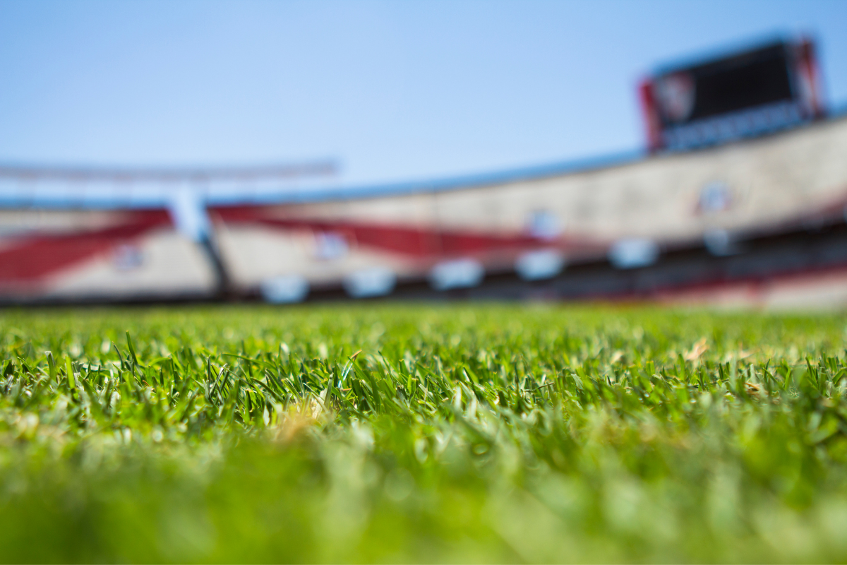Green Grass Across Beige Red Open Sports